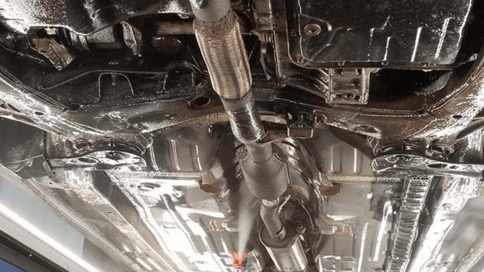 Best car undercoating and rust-proofing Halifa